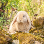 20230512-IMG_7071-2