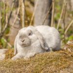20230512-IMG_6969