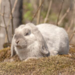 20230512-IMG_6972-2