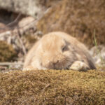 20230512-IMG_6976-3