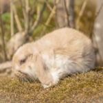20230512-IMG_6981-3