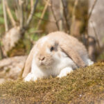 20230512-IMG_6983-2