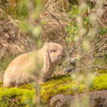 20230512-IMG_7028-2