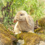 20230512-IMG_7075-Edit