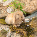 20230512-IMG_7120-2