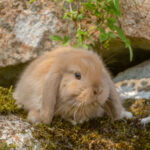 20230512-IMG_7128-2