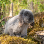 20230512-IMG_7167-Edit-2