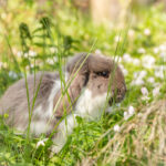 20230512-IMG_7200-2