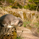 20230512-IMG_7221-2