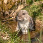 20230512-IMG_7291-2